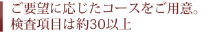 ご要望に応じたコースをご用意。検査項目は約30以上