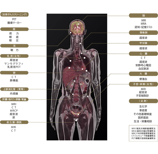 検査項目一例