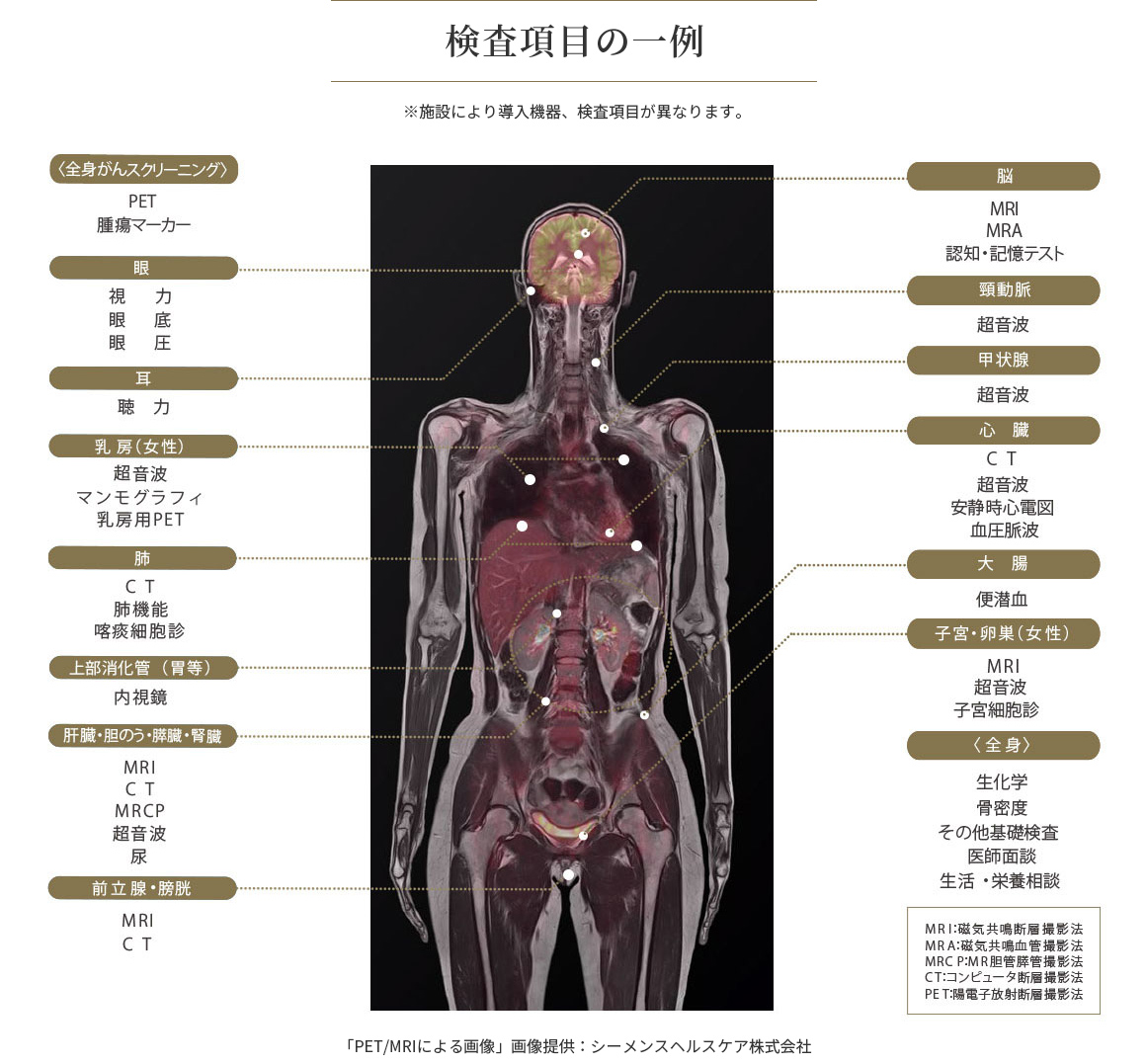 検査項目の一例