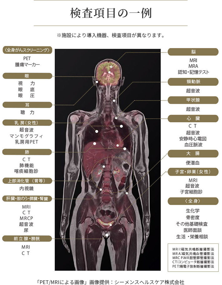 検査項目の一例